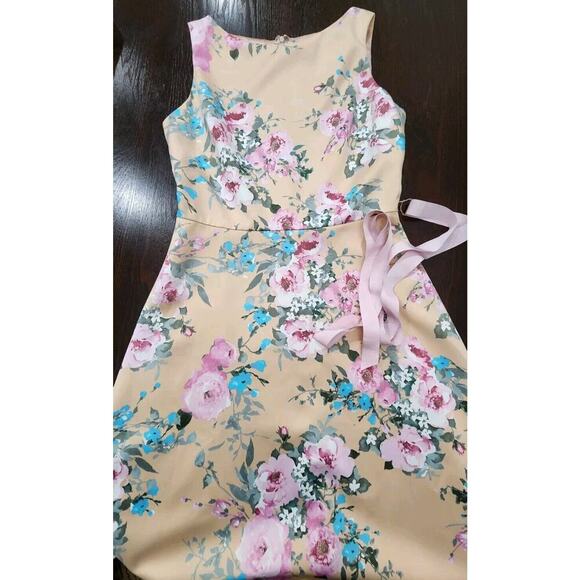 Anthropologie BHLDN Floral Manon A-Line Dress Sz 8 Sleeveless High Neck Roses - Picture 3 of 10